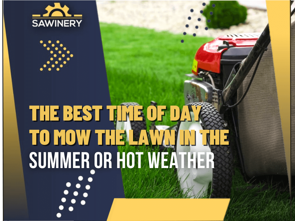 Best Time of Day to Mow the Lawn in the Summer/Hot Weather [2024]