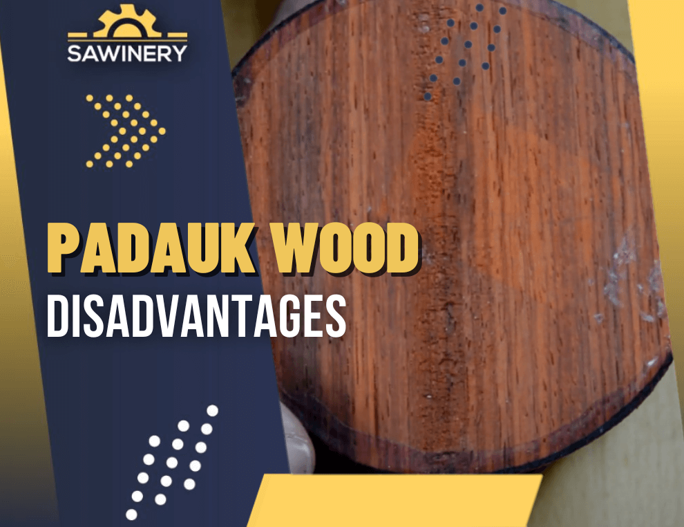 Padauk Wood Disadvantages Featured Image E1684749200234 